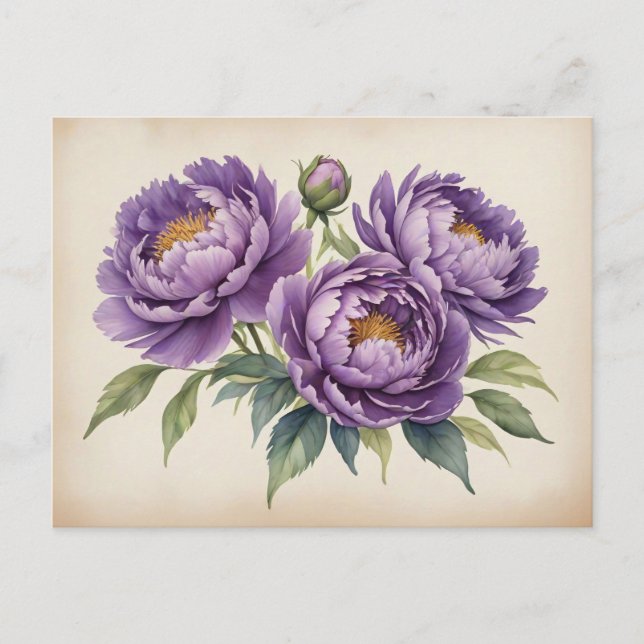 Lila Peonies on Parchment Vykort (Framsida)
