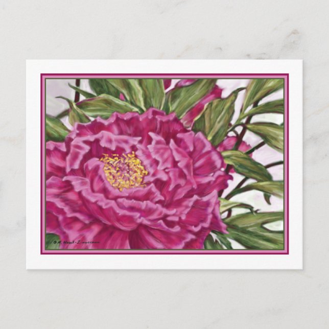 Lila Peony Flowers Garden Painting Vykort (Framsida)