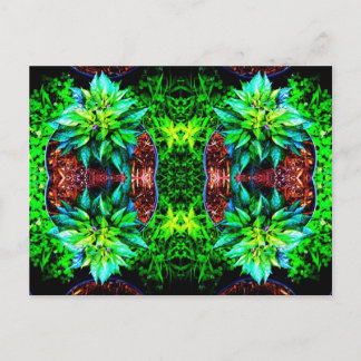 lila pequin spegel 4 vykort