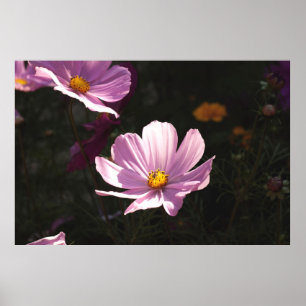 LILA PETALED FLOWER POSTER