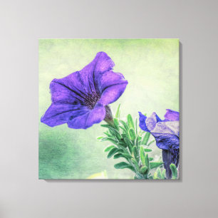 Lila Petunia Canvas Art