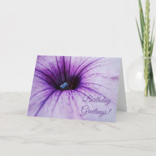 Lila Petunia Flower Birthday Greetings Card Kort