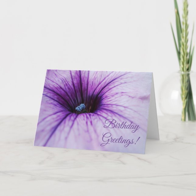 Lila Petunia Flower Birthday Greetings Card Kort (Framsida)