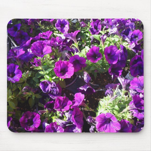 Lila Petunia Flower Mouse Pad Musmatta (Framsidan)