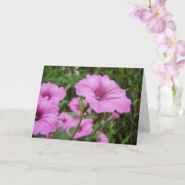 Lila Petunia Flowers & Grönt Foliage Kort
