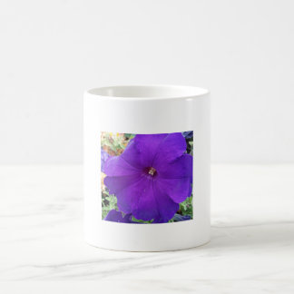 Lila Petunia Kaffe Mugg