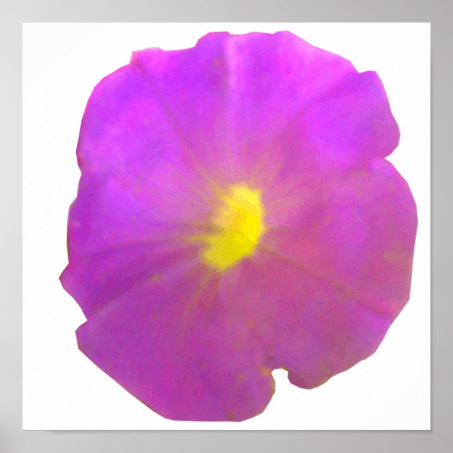 Lila Petunia Poster (Framsidan)