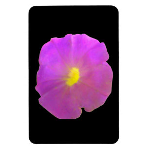 Lila Petunia Premium Magnet