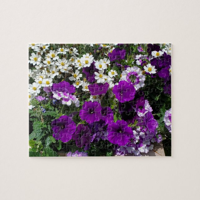 Lila petunia pussel (Horisontell)