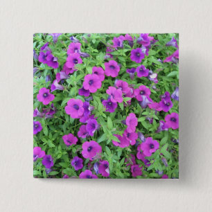 Lila Petunias Button Knapp