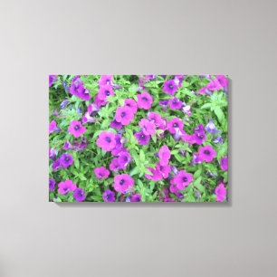 Lila Petunias Canvas
