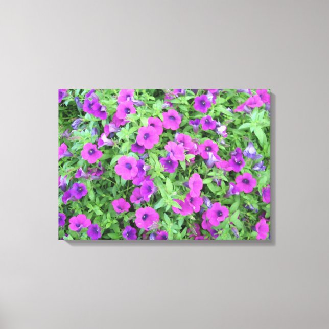 Lila Petunias Canvas (Framsida)