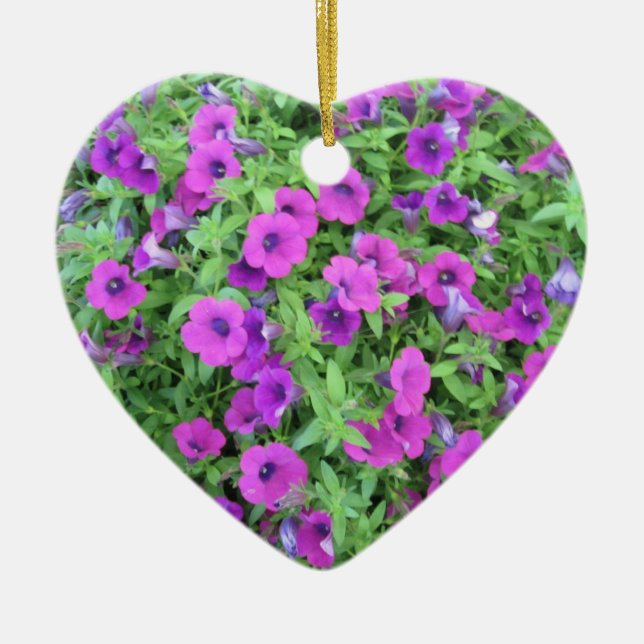 Lila Petunias Ornament (Framsidan)