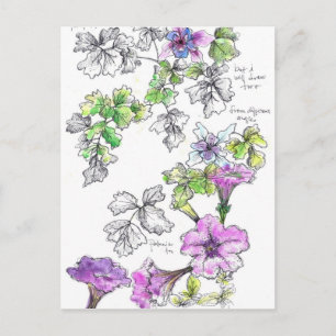 Lila Petunias Pen och Bläck Flower Sketch Vykort