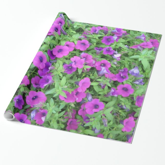 Lila Petunior Presentpapper (Utrullad)