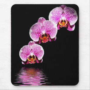 Lila Phalaenopsis-Orkidéer Reflektioner Musmattor