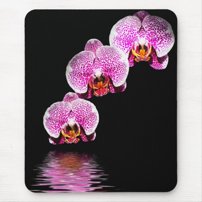 Lila Phalaenopsis-Orkidéer Reflektioner Musmattor (Framsidan)