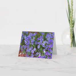Lila Phlox blommor på ett tack Kort