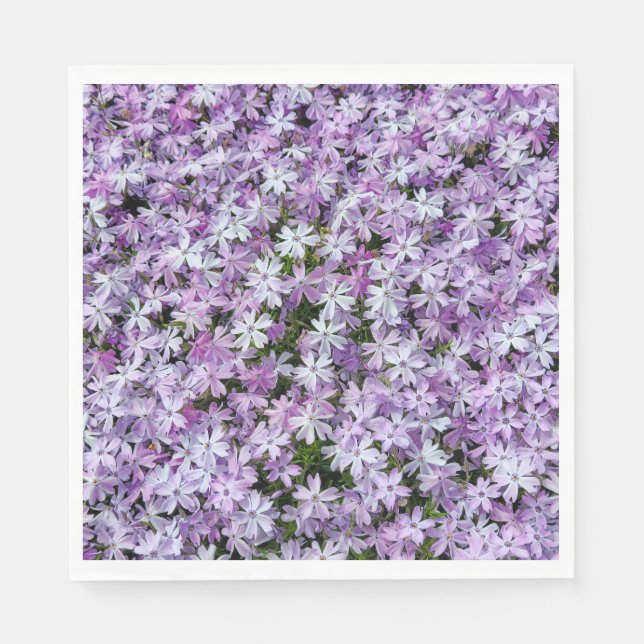 Lila Phlox Flowers Pappersservett (Framsidan)