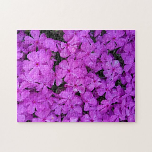 Lila Phlox Flowers Pussel (Horisontell)