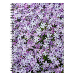 Lila Phlox-trädgård Anteckningsbok