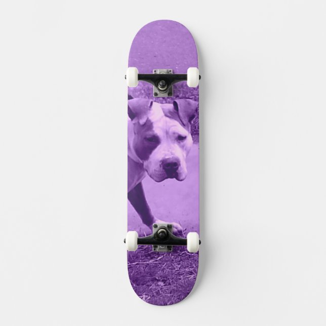 Lila Pit Bull Skateboard (Framsida)