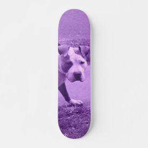 Lila Pit Bull Skateboard