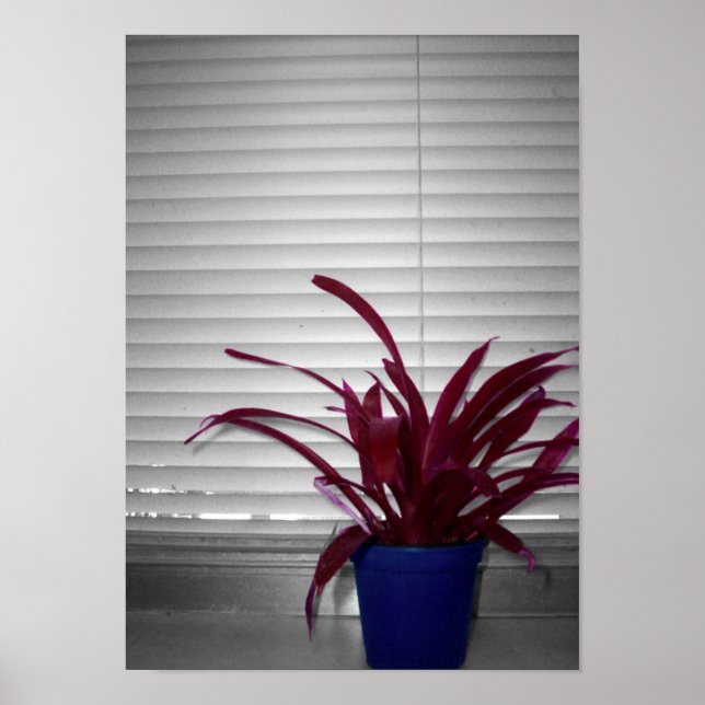 Lila Plant Poster (Framsidan)