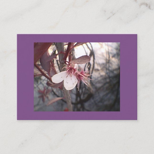 Lila Plum Bloom Visitkort (Framsida)