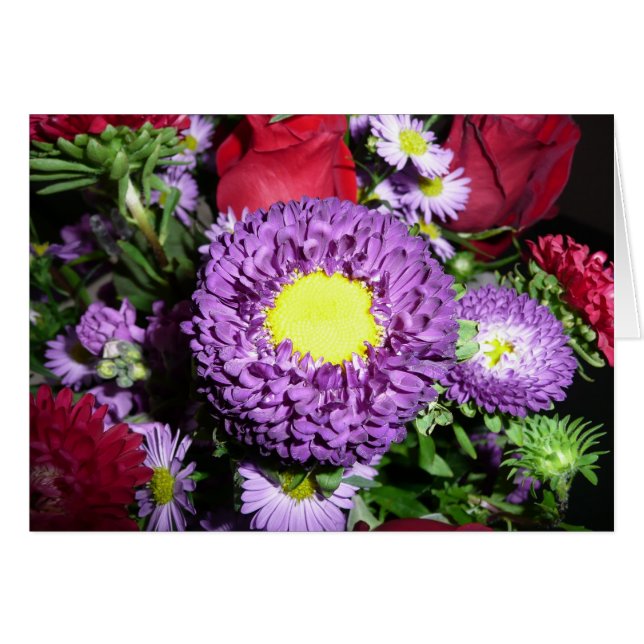 Lila Pom Morsa Hälsningskort (Framsidan Horizontal)