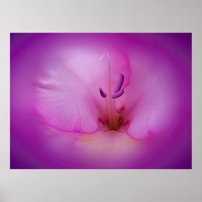 Lila Poster (Framsidan)