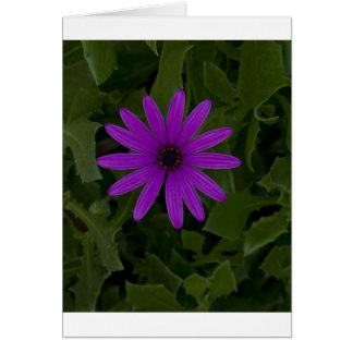 Lila Power Hälsningskort