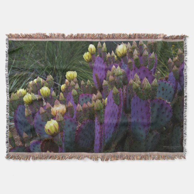 Lila Prickly Pear Opuntia Cactus Gula blommor Filt (Framsidan)