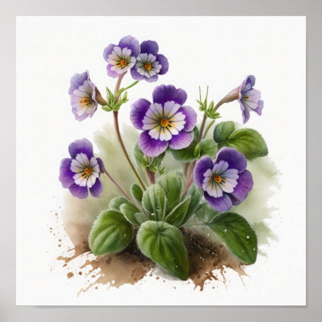 Lila Primrose Flowers Art Print Poster (Framsidan)
