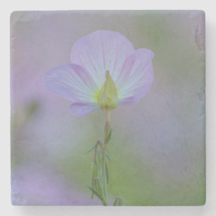 Lila Primrose Stenunderlägg