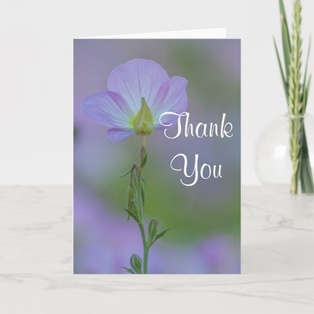 Lila Primrose Tack (Framsida)