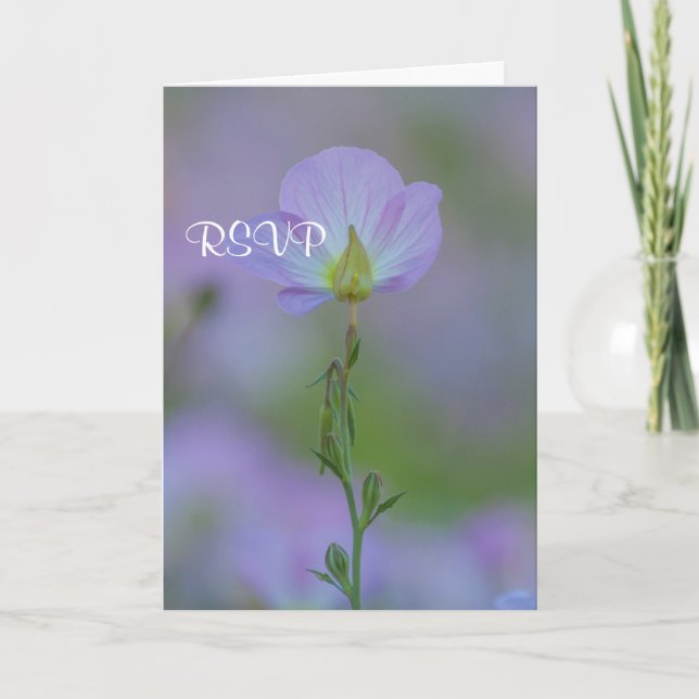 Lila Primula RSVP Inbjudan (Framsida)