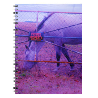 Lila Private Egendom Horse Anteckningsbok Med Spiral