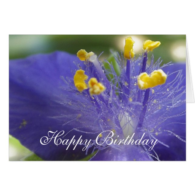 Lila Queen-A Hälsningskort (Framsidan Horizontal)