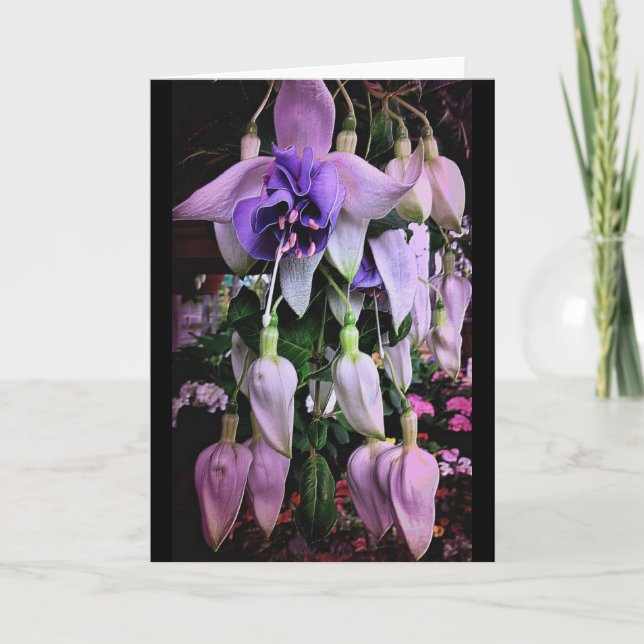 Lila Rain Kort (Framsida)