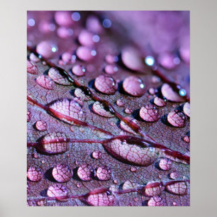 Lila Rain Poster