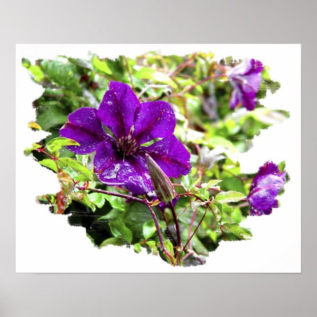 Lila Rain Poster (Framsidan)