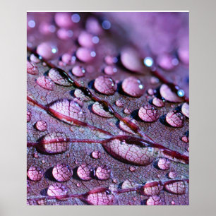 Lila Rain Poster