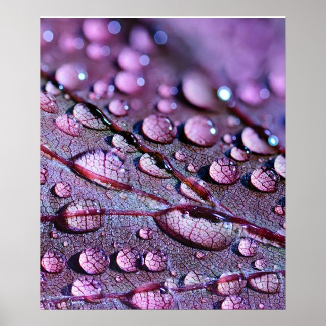 Lila Rain Poster (Framsidan)