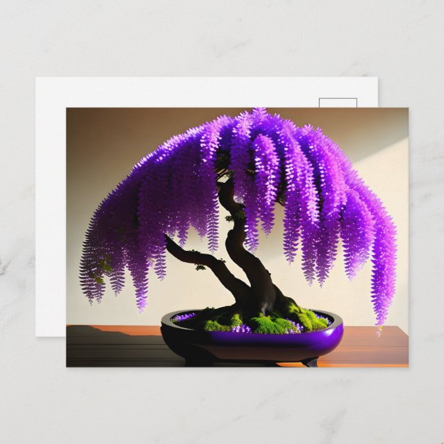 Lila Rain Wisteria Bonsai, Postcross Vykort (Fram/baksida)