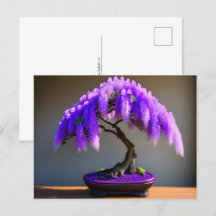Lila Rain Wisteria Bonsai, Postcross