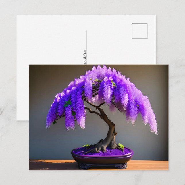 Lila Rain Wisteria Bonsai, Postcross Vykort (Fram/baksida)
