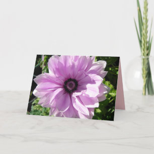Lila Rannunculus vårblomma blomsterkort Kort