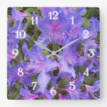 Lila Rhododendronblommor Blommig