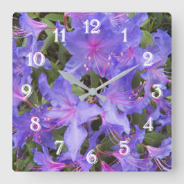 Lila Rhododendronblommor Blommig Stor Klocka